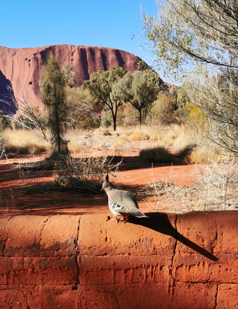 The Rock – David Redpath