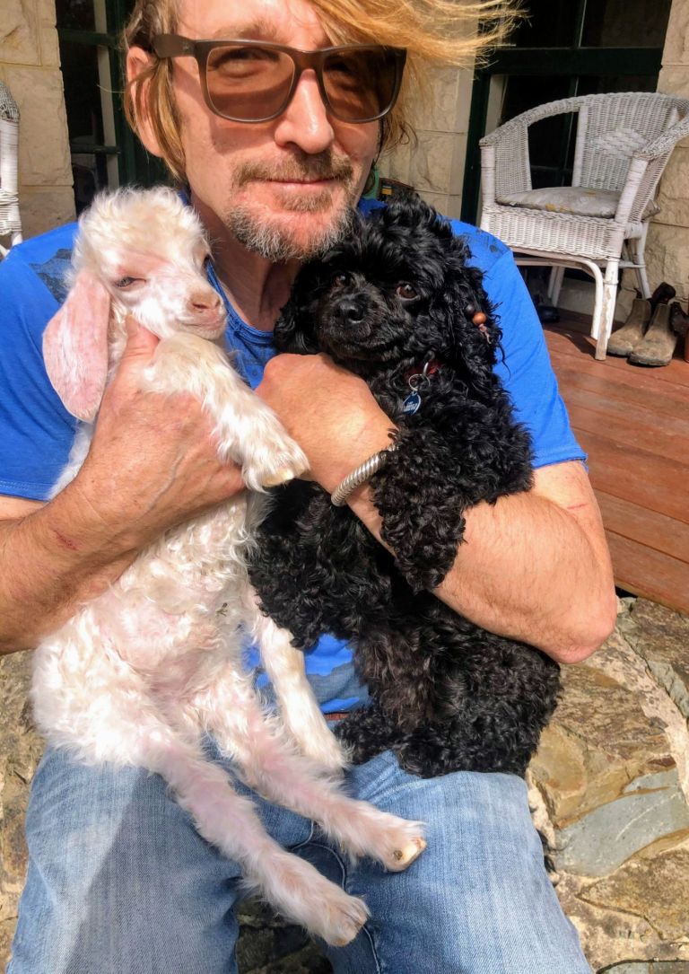 Swans On The Water – David Redpath