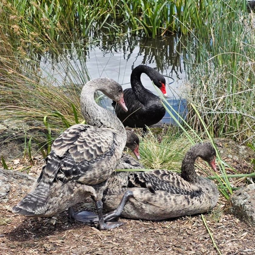 Rainbow In The Sky 🌈 😎 – David Redpath